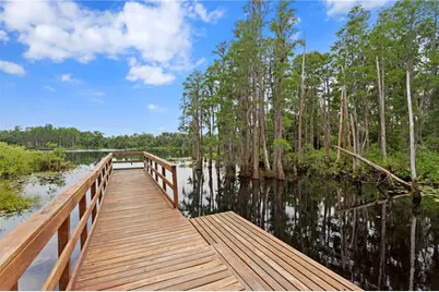 14110 Damselfly Drive, Tampa, FL 33625 - Photo 27