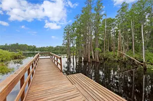 14110 Damselfly Dr, Tampa, FL 33625 - Photo 27