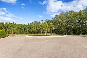 14110 Damselfly Dr, Tampa, FL 33625 - Photo 23