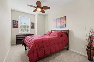 908 Vineyard Ln, Oldsmar, FL 34677 - Photo 19