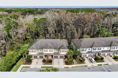 908 Vineyard Lane, Oldsmar, FL 34677 - Photo 31