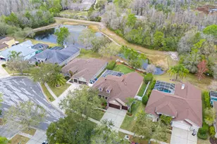 17710 Currie Ford Dr, Lutz, FL 33558 - Photo 61