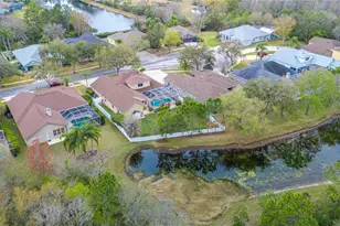 17710 Currie Ford Dr, Lutz, FL 33558 - Photo 71