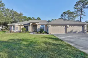 11235 Warm Wind Way, Weeki Wachee, FL 34613 - Photo 13