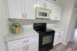 7604 Abbey Ln, Tampa, FL 33617 - Photo 15