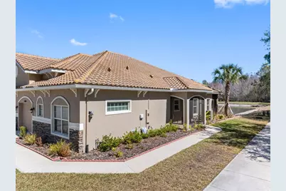 29800 Anand Vihar Drive, Wesley Chapel, FL 33543 - Photo 5