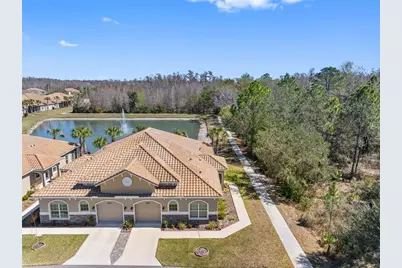 29800 Anand Vihar Drive, Wesley Chapel, FL 33543 - Photo 1