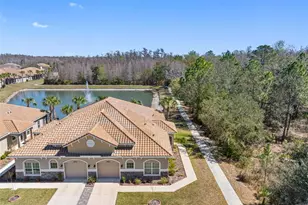 29800 Anand Vihar Dr, Wesley Chapel, FL 33543 - Photo 1