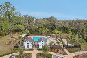 34196 Rogallo Ln, Wesley Chapel, FL 33545 - Photo 29