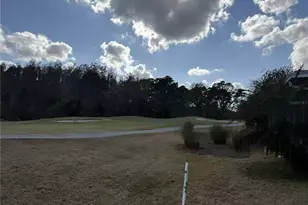 29402 Princeville Dr, San Antonio, FL 33576 - Photo 3