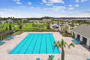 12453 Horseshoe Bend Dr, Lithia, FL 33547 - Photo 71