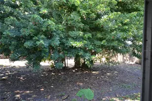 2143 Chatlin Rd, Holiday, FL 34691 - Photo 33