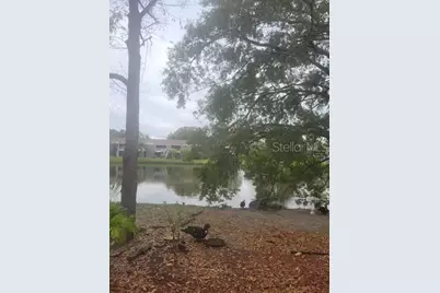 4011 Muriel Place #1C, Tampa, FL 33614 - Photo 5