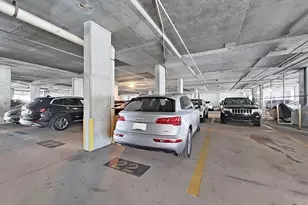 345 Bayshore Blvd, Tampa, FL 33606 - Photo 39