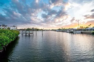 918 Shagos Dr, Apollo Beach, FL 33572 - Photo 3