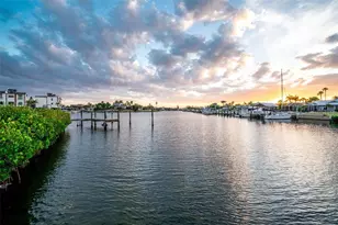 918 Shagos Dr, Apollo Beach, FL 33572 - Photo 43