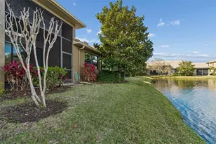 4813 Michelle Ln, Palm Harbor, FL 34684 - Photo 49