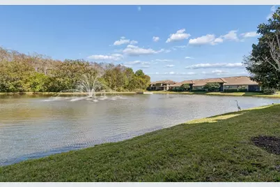 4813 Michelle Lane, Palm Harbor, FL 34684 - Photo 47