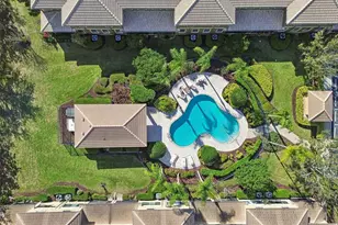 4813 Michelle Ln, Palm Harbor, FL 34684 - Photo 61