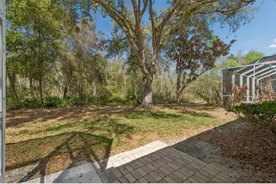 10162 Deercliff Drive, Tampa, FL 33647 - Photo 63