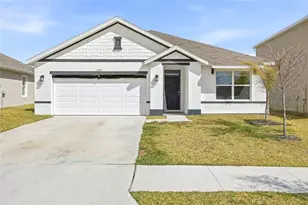 31019 Penny Surf Loop, Wesley Chapel, FL 33545 - Photo 1