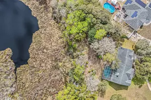 12211 Count Pl, Thonotosassa, FL 33592 - Photo 45