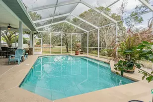 12211 Count Pl, Thonotosassa, FL 33592 - Photo 33
