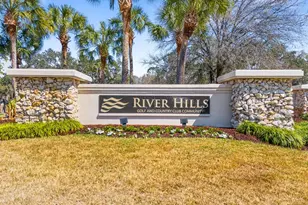 3408 Stonebridge Trail, Valrico, FL 33596 - Photo 43