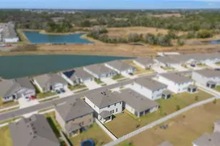 6199 Wandering Willow Dr, Wesley Chapel, FL 33545 - Photo 3