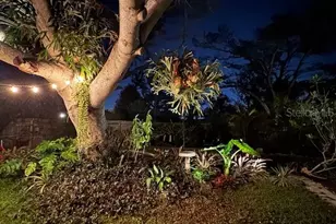 1720 Scranton St S, Saint Petersburg, FL 33711 - Photo 49