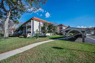 1001 Pearce Dr, Clearwater, FL 33764 - Photo 63