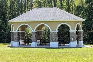 2821 Devonoak Blvd, Land O Lakes, FL 34638 - Photo 29
