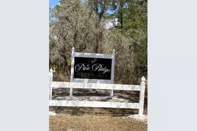 6 Sugar Pine Loop, Lake Wales, FL 33898 - Photo 73