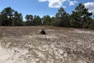 6 Sugar Pine Loop, Lake Wales, FL 33898 - Photo 81