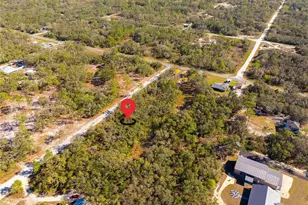 8149 Renova Dr, Ridge Manor Estates, FL 33597 - Photo 1