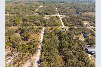 8149 Renova Drive, Ridge Manor Estates, FL 33597 - Photo 7