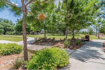 3208 Heart Pine Avenue, Odessa, FL 33556 - Photo 15