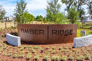 3434 Lumber Fls Dr, Plant City, FL 33565 - Photo 45