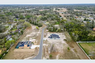 18442 Purple Creek Lane, Lutz, FL 33549 - Photo 3