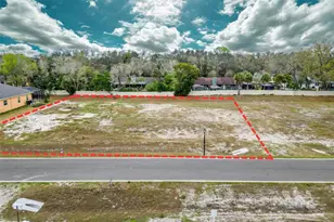 18442 Purple Crk Ln, Lutz, FL 33549 - Photo 1