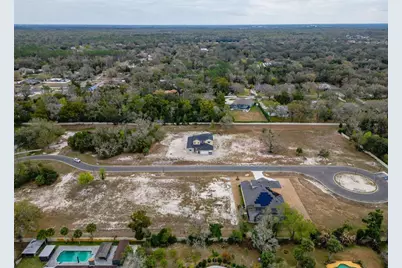 18442 Purple Creek Lane, Lutz, FL 33549 - Photo 7