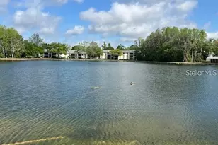 3232 Lake Pine Way E, Tarpon Springs, FL 34688 - Photo 27