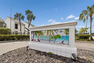 718 Haven Pl, Tarpon Springs, FL 34689 - Photo 31