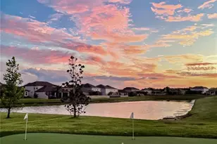 31030 Parrot Reef Ct, Wesley Chapel, FL 33545 - Photo 61