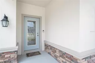 31030 Parrot Reef Ct, Wesley Chapel, FL 33545 - Photo 5
