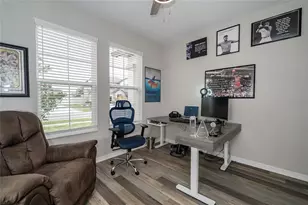 31030 Parrot Reef Ct, Wesley Chapel, FL 33545 - Photo 9