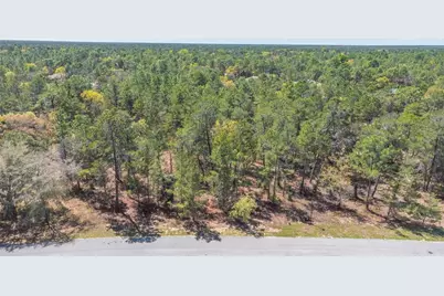 8 Heuchera Court E, Homosassa, FL 34446 - Photo 3