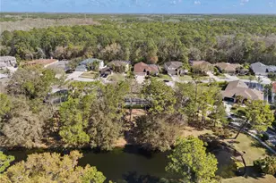 4202 Rotherham Ct, Palm Harbor, FL 34685 - Photo 45