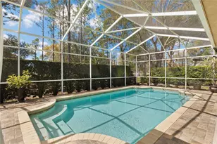 4202 Rotherham Ct, Palm Harbor, FL 34685 - Photo 25