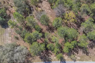 10 Heuchera Ct E, Homosassa, FL 34446 - Photo 1